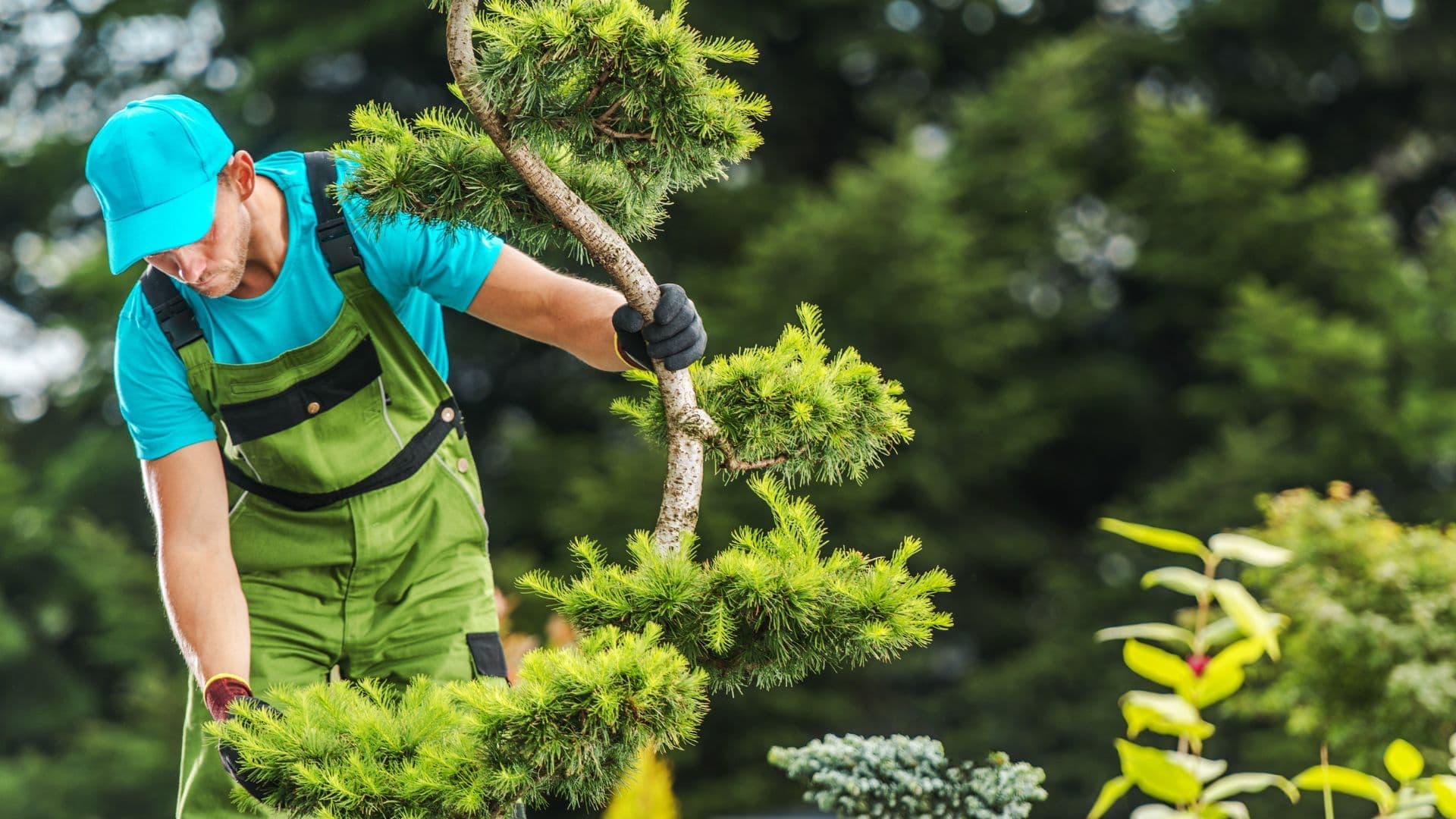 Möglichkeiten für zusätzliches Einkommen