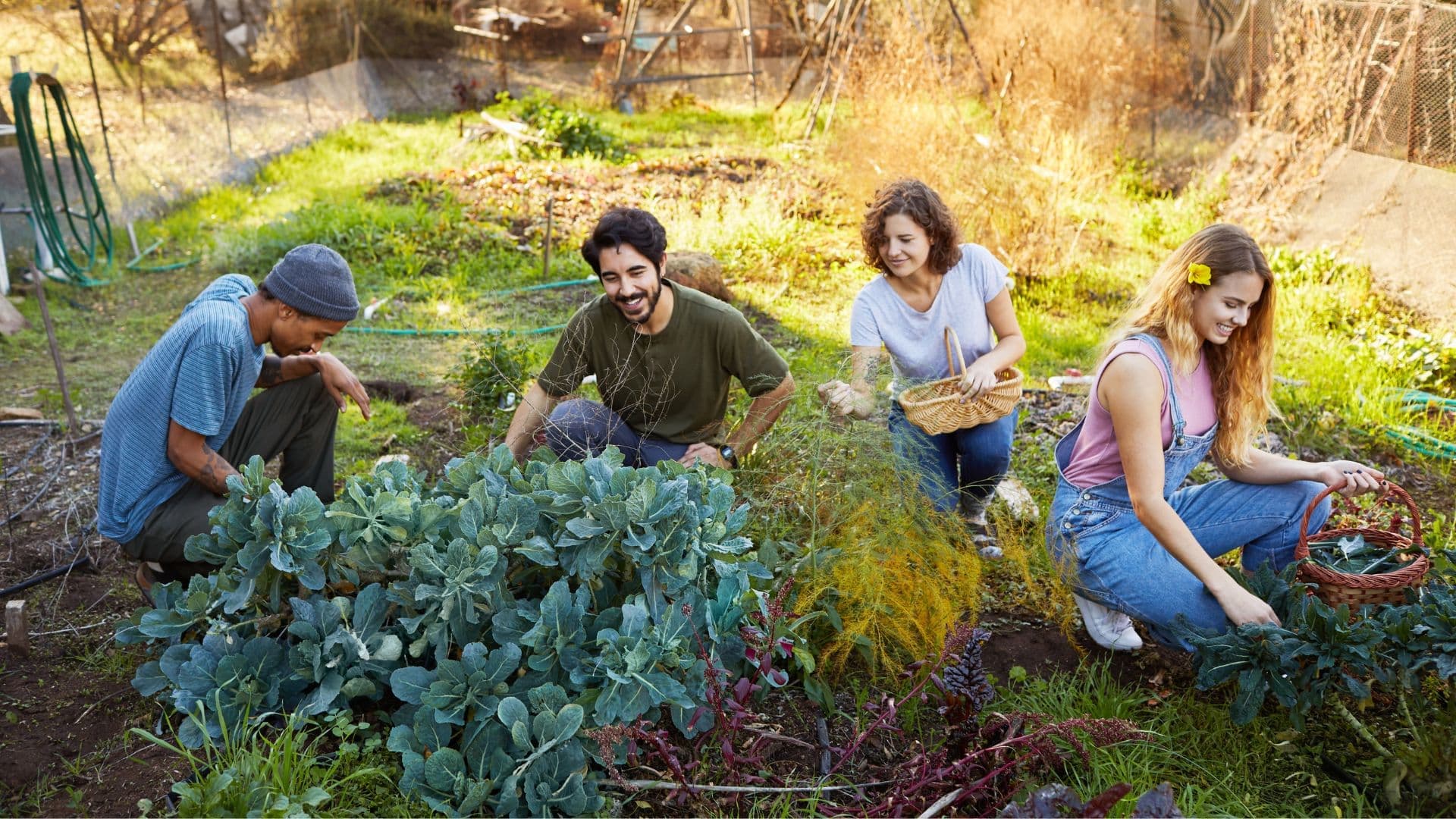Kurzfristige Jobs und Dienstleistungen