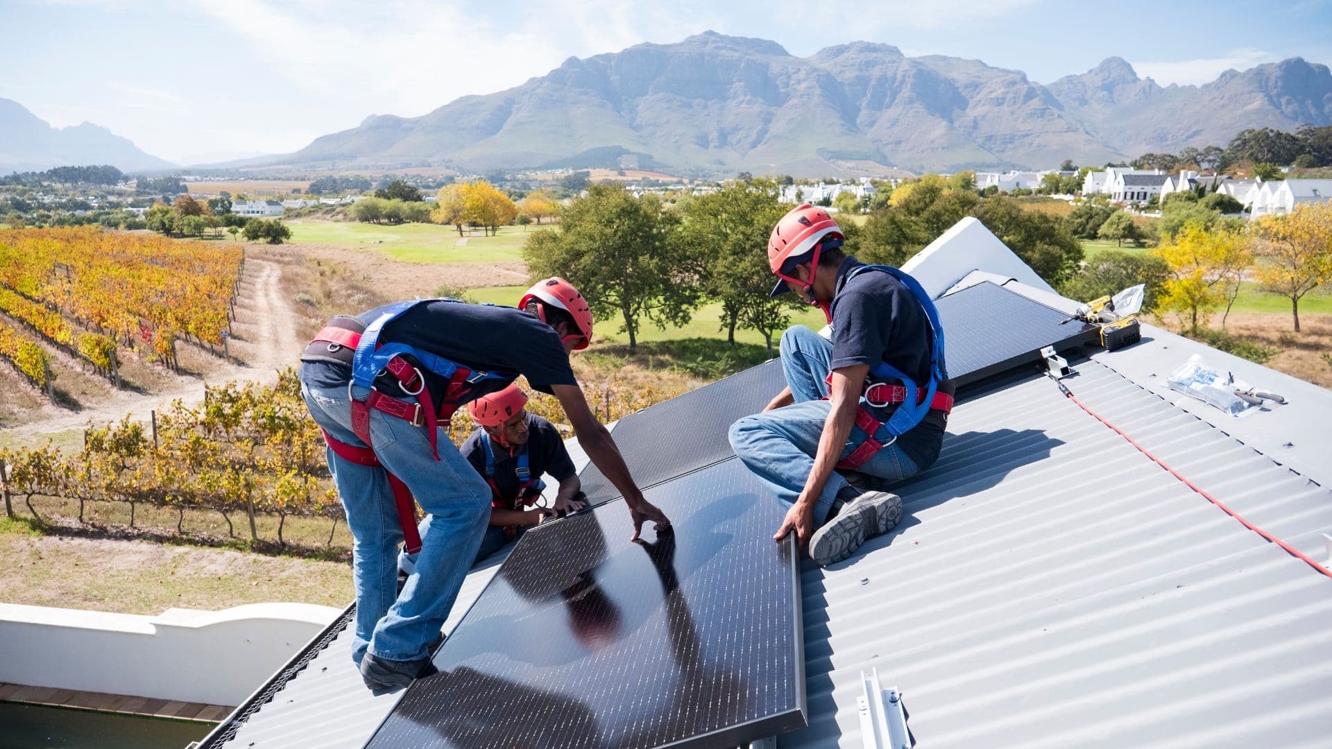 Wachstum und Möglichkeiten